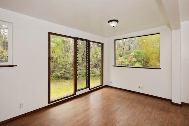 empty room with a wealth of natural light, baseboards, and wood finished floors