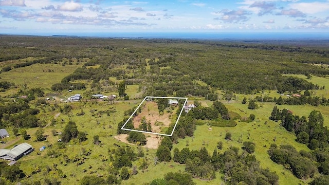 drone / aerial view featuring a view of trees