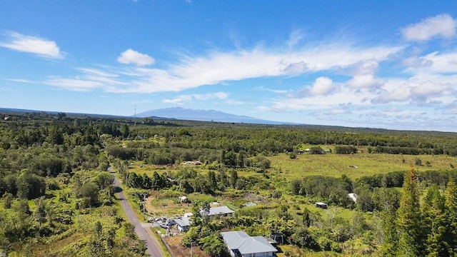 bird's eye view featuring a forest view and a mountain view