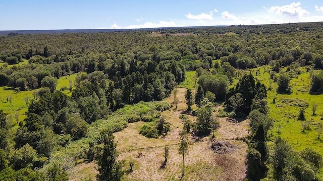 birds eye view of property with a view of trees