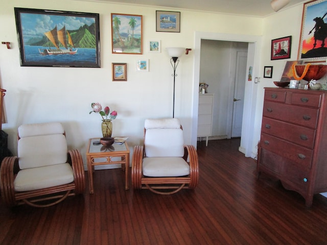 sitting room featuring dark wood-type flooring