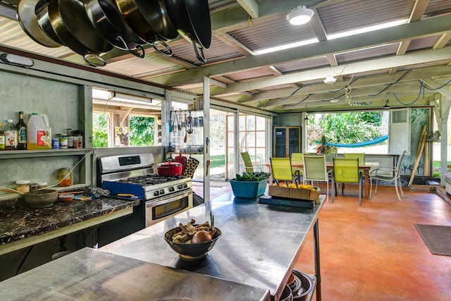 29-3871 Kanna Rd, Hakalau, HI 96710 - kitchen featuring gas range, stainless steel counters, and concrete floors