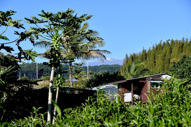 29-3871 Kanna Rd, Hakalau, HI 96710 - view of mountain backdrop with a forest