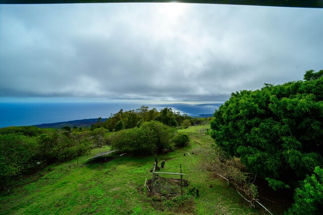 2239 Upper Kanaio Rd, Kula, HI 96790 - view of yard