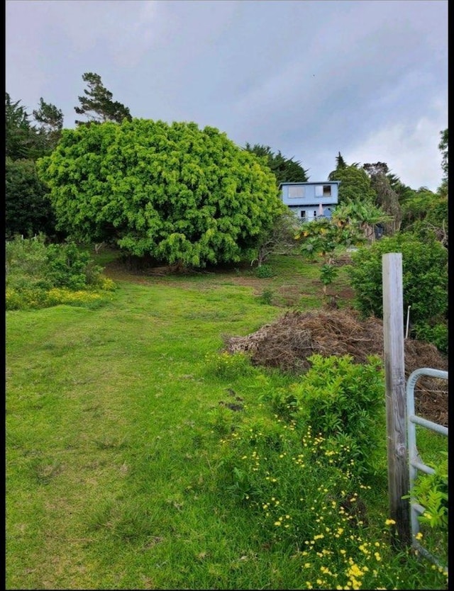 2239 Upper Kanaio Rd, Kula, HI 96790 - view of grassy yard