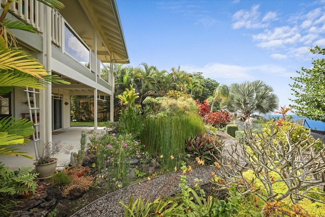 view of yard with a patio