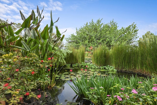 view of landscape with a garden pond