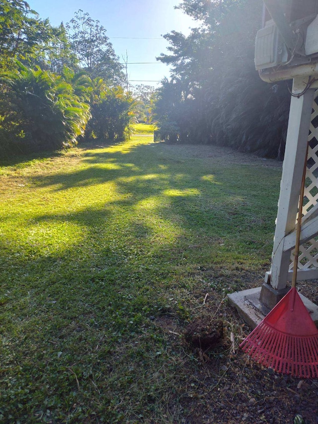 view of yard
