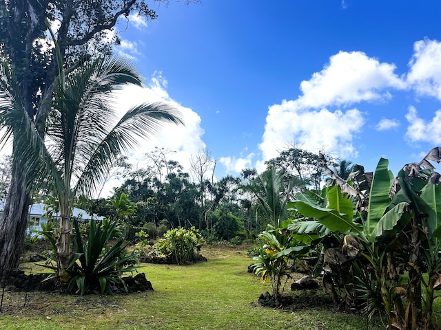 Listing photo 2 for Opae St, Pahoa HI 96778