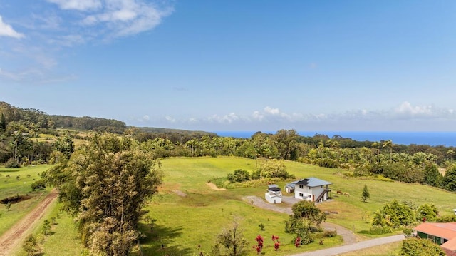 bird's eye view featuring a rural view and a view of trees