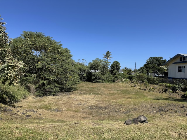 Papai St, Pahoa HI, 96778 land for sale