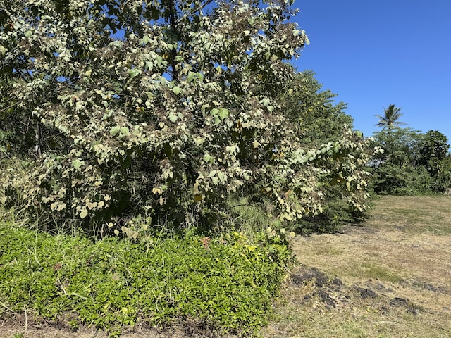 Listing photo 3 for Papai St, Pahoa HI 96778