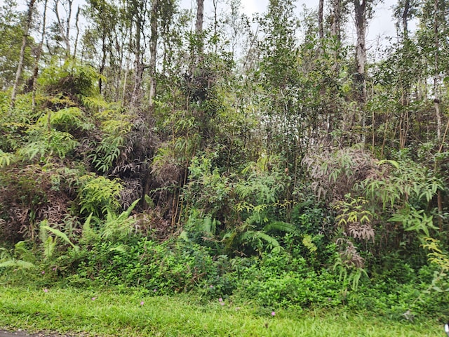 Hilo Rd Lot 732, Pahoa HI, 96778 land for sale