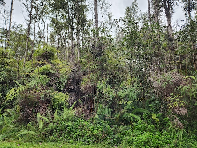 Listing photo 2 for Hilo Rd Lot 732, Pahoa HI 96778