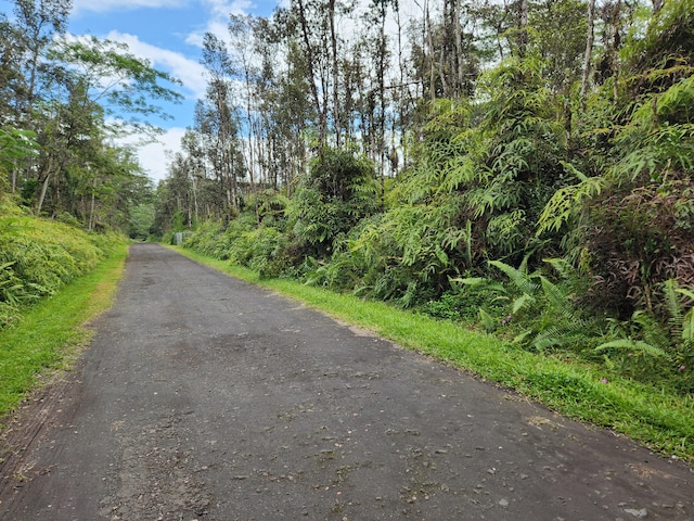 Listing photo 3 for Hilo Rd Lot 732, Pahoa HI 96778