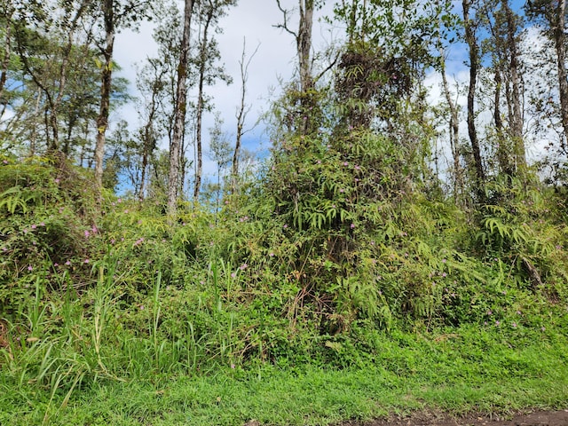 Listing photo 3 for Pikake Rd, Pahoa HI 96778