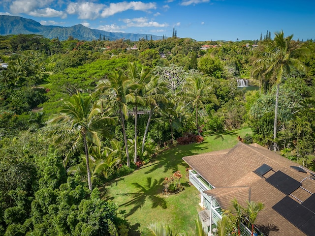 bird's eye view with a mountain view and a view of trees