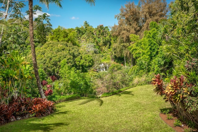 view of yard with a wooded view