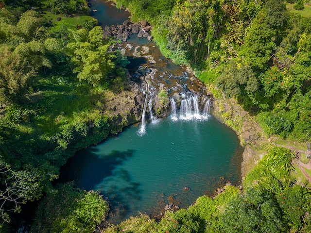 birds eye view of property featuring a water view and a view of trees