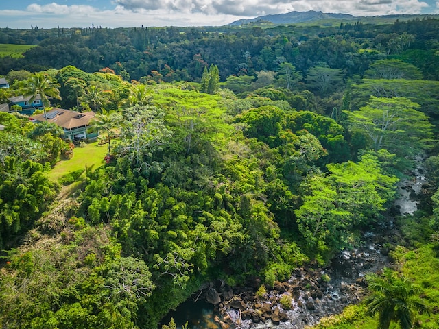 aerial view featuring a view of trees