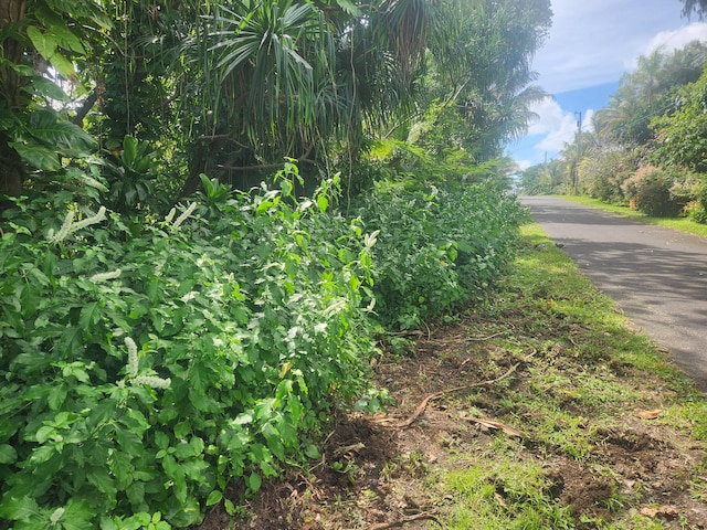 Pohakupele Lp, Pahoa HI, 96778 land for sale