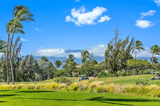 surrounding community with a lawn