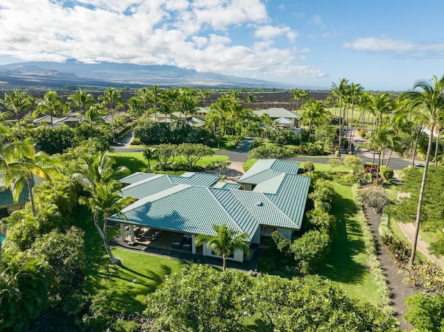 birds eye view of property featuring a mountain view