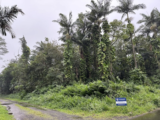 Driftwood Ln, Pahoa HI, 96778 land for sale