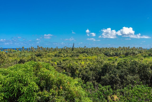 view of nature featuring a wooded view