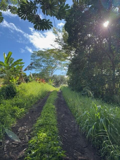 Listing photo 2 for Kahiliholo Rd, Kilauea HI 96754