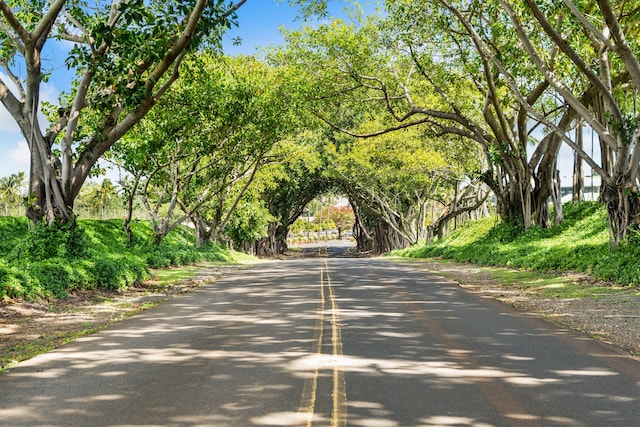 view of road