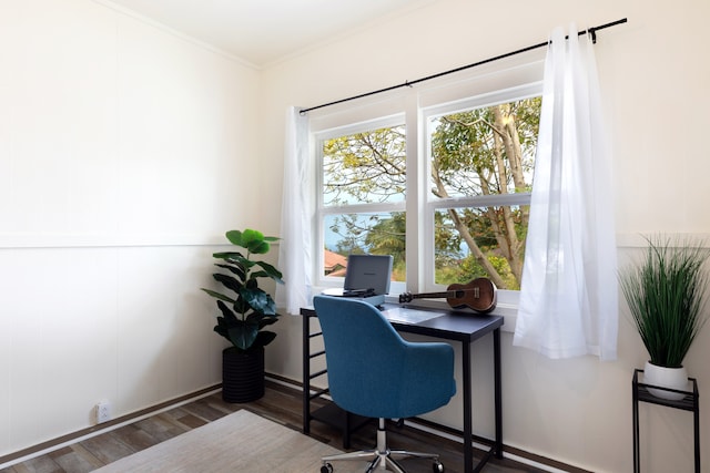 office space featuring ornamental molding, a wealth of natural light, and wood finished floors