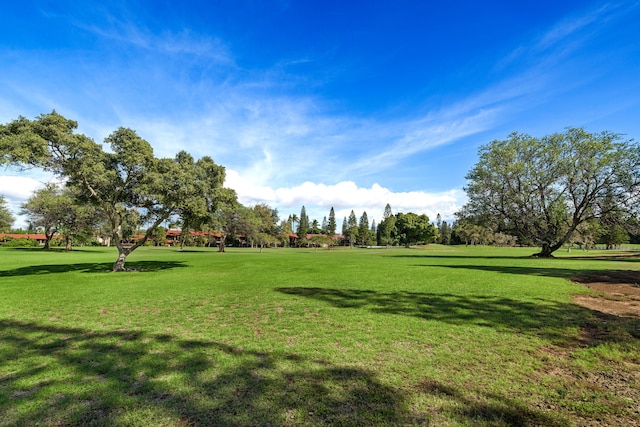 view of community featuring a yard