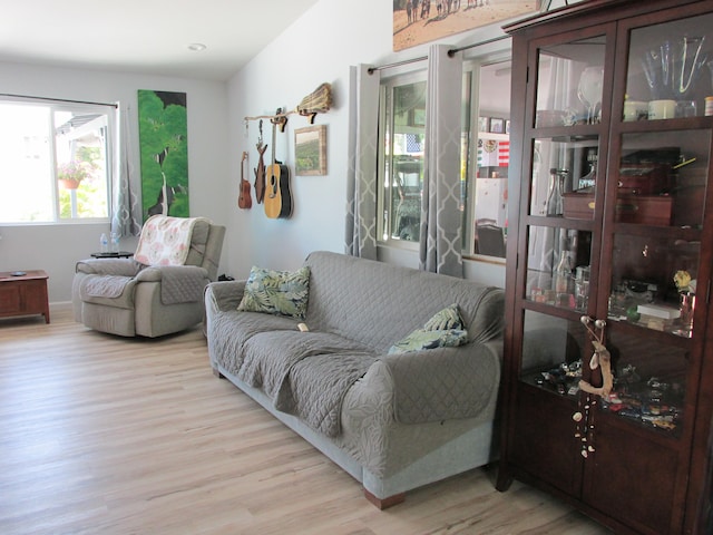 living room featuring light wood finished floors