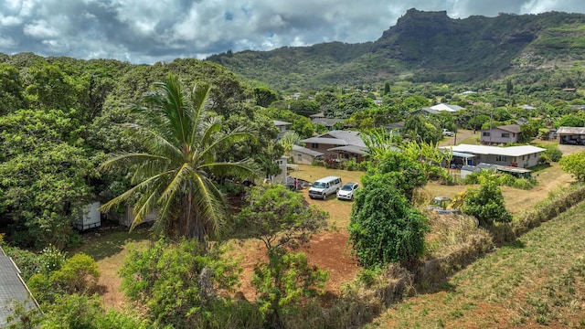 Eggerking Rd Unit 1, Kapaa HI, 96746 land for sale