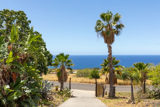 view of property's community with a water view