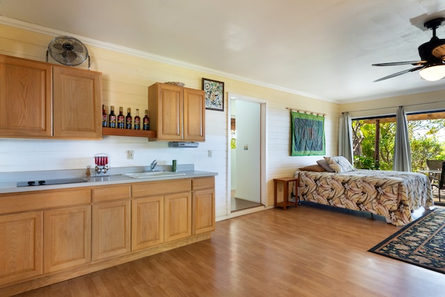 kitchen featuring black electric stovetop, light countertops, light wood finished floors, and a sink