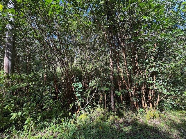 Puna St, Pahoa HI, 96778 land for sale