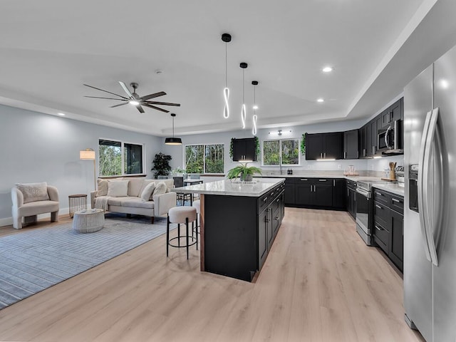 kitchen featuring a kitchen island, open floor plan, a tray ceiling, stainless steel appliances, and dark cabinetry