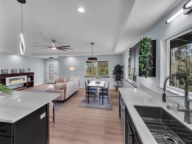 kitchen featuring light wood finished floors, a glass covered fireplace, a sink, dark cabinets, and dishwasher