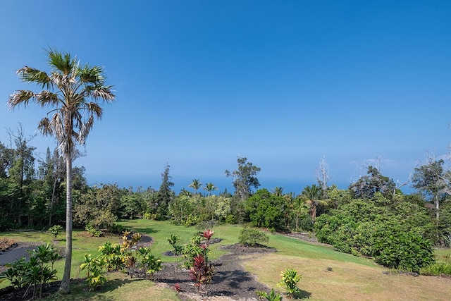 view of property's community with a yard