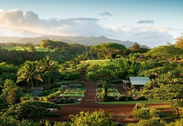 view of home's community featuring a mountain view