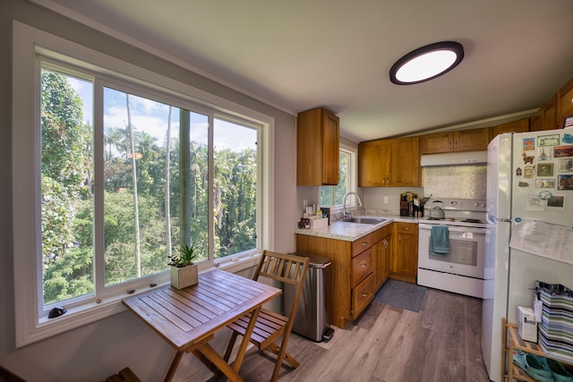 kitchen with brown cabinets, light countertops, a sink, white appliances, and under cabinet range hood