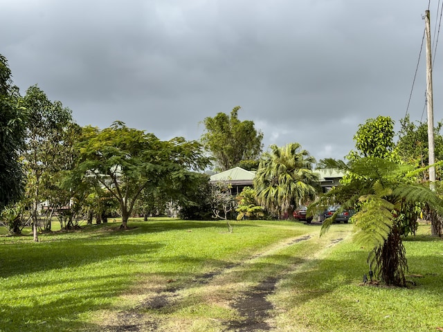 view of yard with driveway