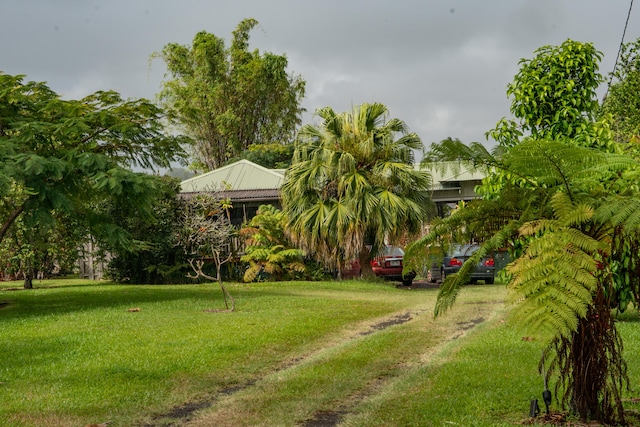 view of yard featuring driveway