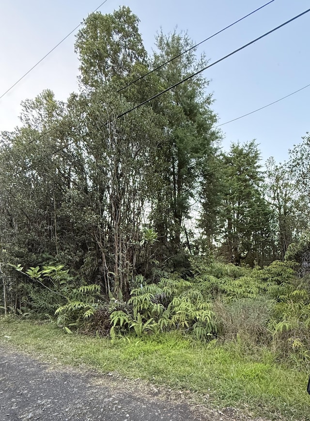view of undeveloped land
