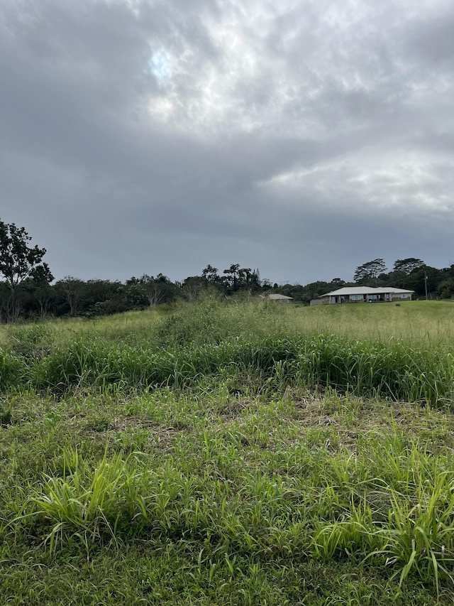 Young Rd, Hilo HI, 96720 land for sale