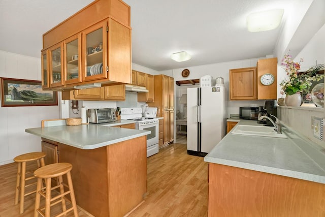 4620 Anolani St, Kapaa, HI 96746 - kitchen featuring a sink, under cabinet range hood, light wood finished floors, white appliances, and a peninsula