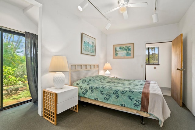 4620 Anolani St, Kapaa, HI 96746 - carpeted bedroom with track lighting and a ceiling fan