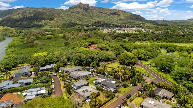 4620 Anolani St, Kapaa, HI 96746 - birds eye view of property featuring a residential view and a mountain view